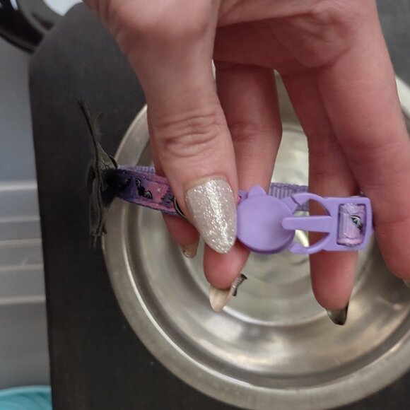 Cat and Dog Pet Bowls Metal and Ceramic, Licking Mats and Bat Collar - Picture 10 of 15